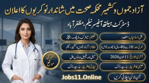 District Health Officer Neelum Jobs 2026 advertisement published by the AJK Health Department for multiple health and technical vacancies.