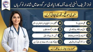 Nawaz Sharif Institute of Cardiology Sargodha Jobs 2026 latest career announcement for senior director positions in Punjab.