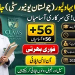 CUVAS Bahawalpur Jobs 2026 recruitment for administrative, technical, clerical and support staff positions.