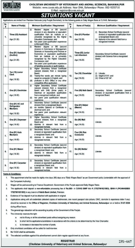 CUVAS Bahawalpur Jobs 2026 advertisement showing 56 daily wage vacancies, eligibility requirements and application deadline.