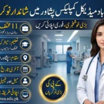 IKD MTI Hayatabad Medical Complex Peshawar Jobs 2026 Peshawar Jobs official advertisement for multiple technical, medical and administrative vacancies in Peshawar.